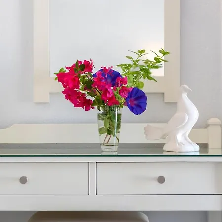 Irene - Beachfront 2* Parikia (Paros)