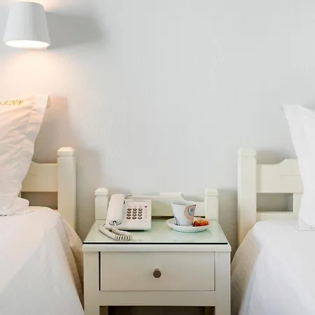 Irene - Beachfront Hotel 2*