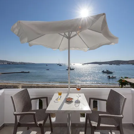 Hotel Irene - Beachfront 2*